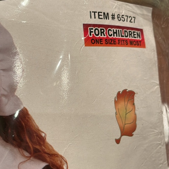 Pilgrim Costume - Picture 6 of 6